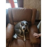 Image 7 of customer photos