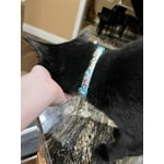 Image 5 of customer photos