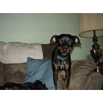 Image 4 of customer photos