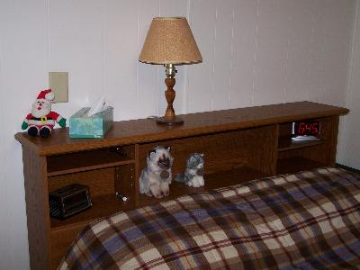 Sauder Orchard Hills Bookcase Headboard Carolina Oak