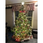 Image 6 of customer photos