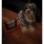 Image 3 of customer photos