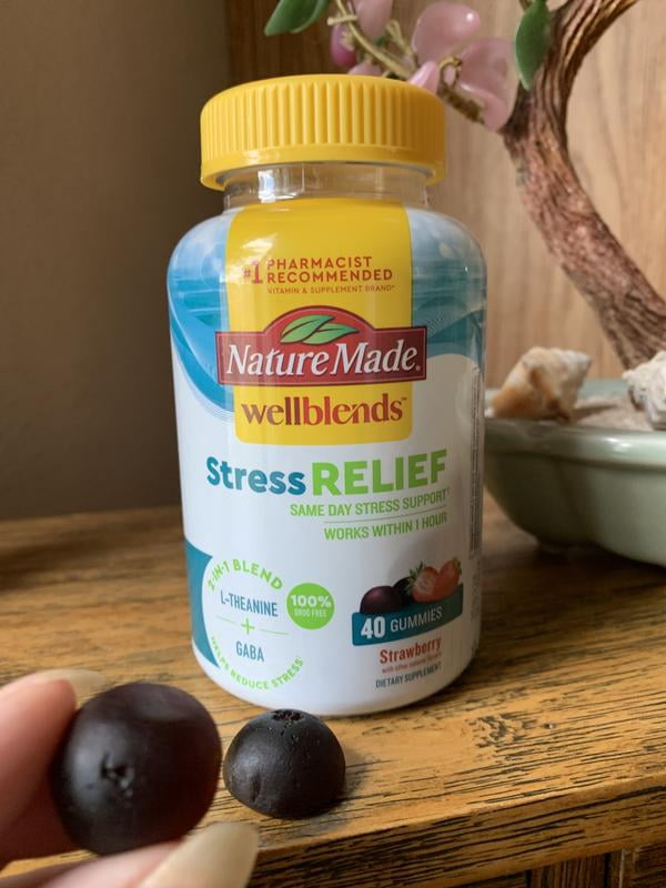 Nature Made Wellblends Stress Relief Gummies 2-in-1 Blend (84 ct