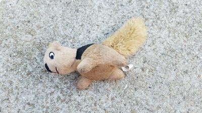 stuffed squirrel toy walmart