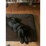 Image 7 of customer photos