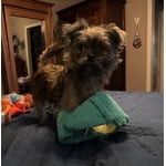 Image 7 of customer photos