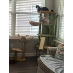 Image 1 of customer photos