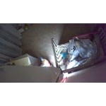 Image 6 des photos des clients