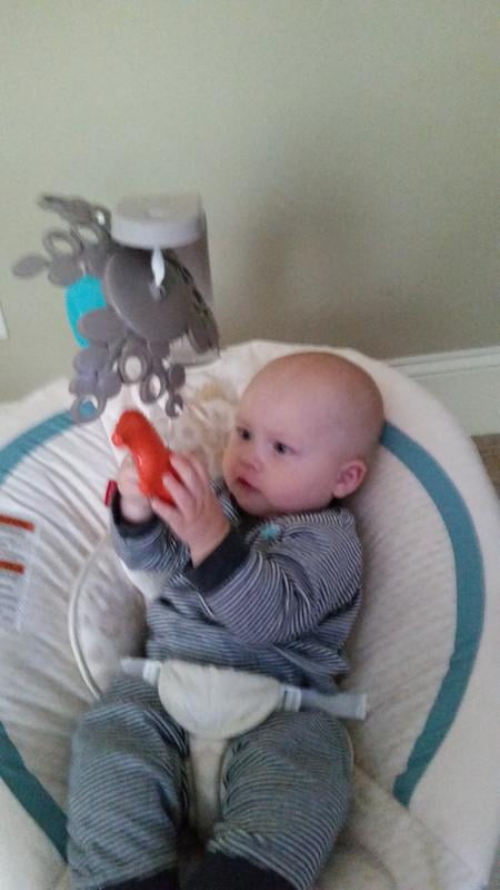 fisher price deluxe bouncer soothing savanna