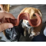 Image 4 of customer photos