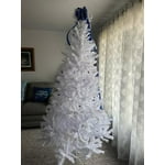 Image 7 of customer photos