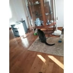 Image 6 of customer photos