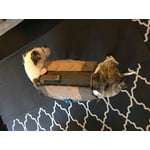 Image 2 of customer photos