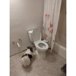 Image 2 of customer photos