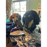 Image 1 of customer photos