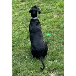 Image 4 of customer photos