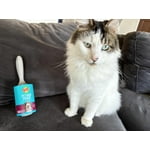 Image 6 of customer photos