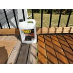 Image 2 of customer photos