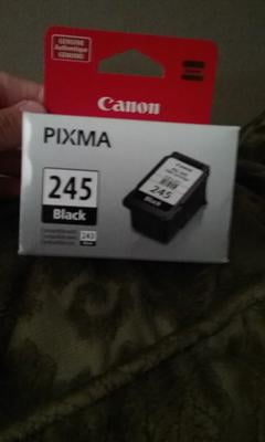 Canon PG-245 Original Pigment Black Ink Cartridge - Smudge