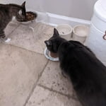 Image 5 of customer photos