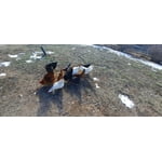 Image 3 of customer photos