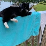 Image 3 of customer photos