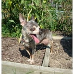 Image 2 of customer photos