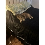 Image 5 of customer photos