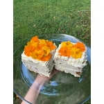 Image 5 of customer photos