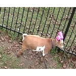 Image 3 of customer photos