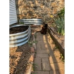 Image 6 of customer photos