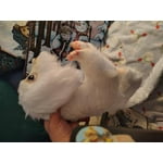 Image 6 of customer photos