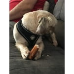 Image 6 of customer photos