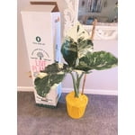 Image 6 of customer photos