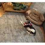 Image 2 of customer photos