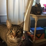 Image 4 of customer photos