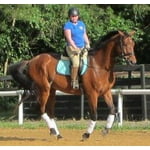 Image 3 of customer photos