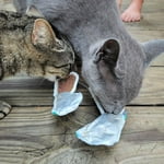 Image 5 of customer photos