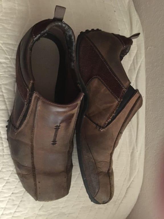 skechers diameter zinroy