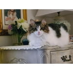 Image 4 of customer photos