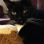 Image 7 of customer photos