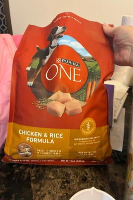 Purina ONE High Protein Dry Dog Food for Adult Dogs with Real Chicken Rice  8 lb - Walmart.com