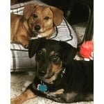 Image 5 of customer photos