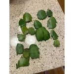 Image 7 of customer photos