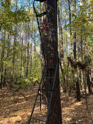 Customer reviews for Muddy Warrior DXT 1-Man Ladder Stand, 17ft