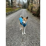 Image 5 of customer photos