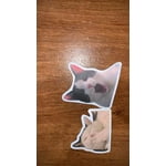 Image 1 of customer photos