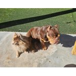 Image 6 of customer photos