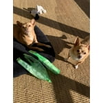 Image 2 of customer photos