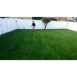 Image 6 of customer photos